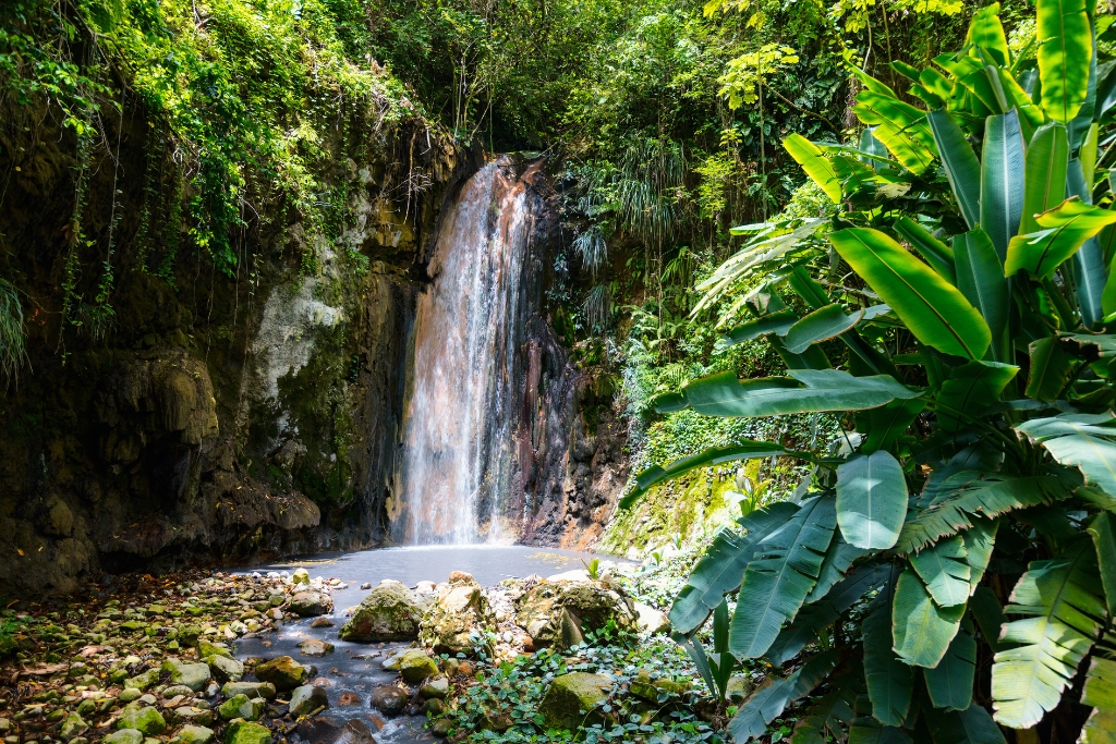 rainforest with waterfall of St Lucia